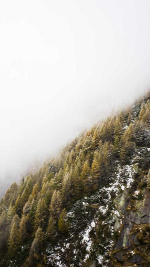 泛目录下载推广排名截图1