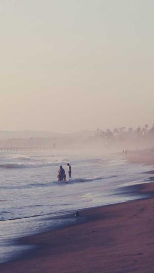 天津蜘蛛池租用平台截图4