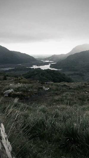 阿里蜘蛛池免授权v7截图2