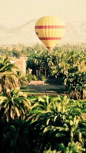 蜘蛛池的应用方法截图5