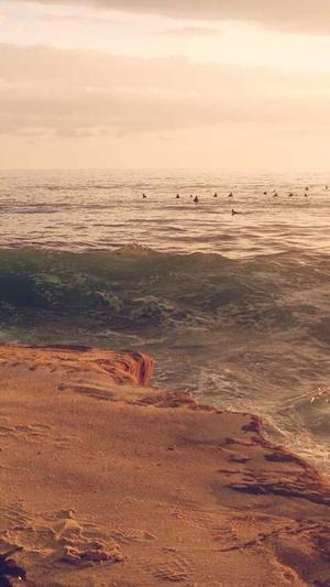 搜索引擎seo截图1