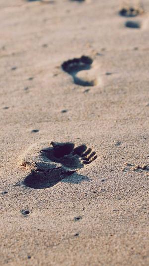 广东蜘蛛池出租包月截图3