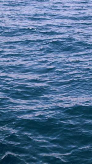 泛目录最新版本截图1