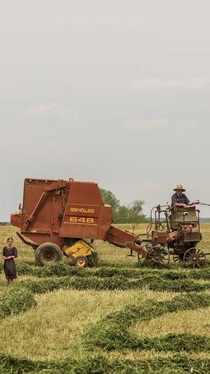 百度蜘蛛池制作截图1