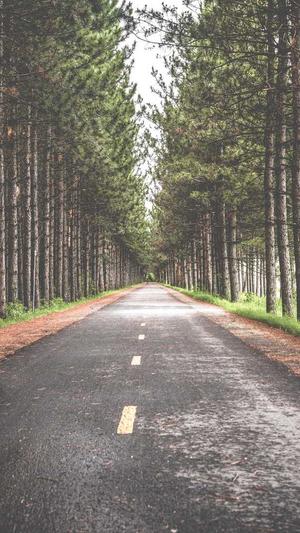 泛目录工具截图4