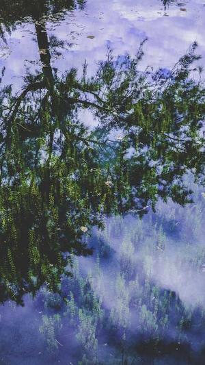 seo优化系统工具截图4