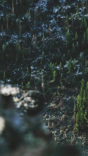 营销网站建设截图5