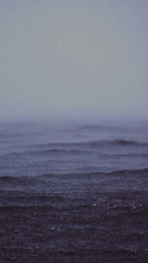 泛目录代做排名截图1