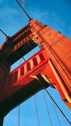 seo泛目录怎么操作留痕截图2