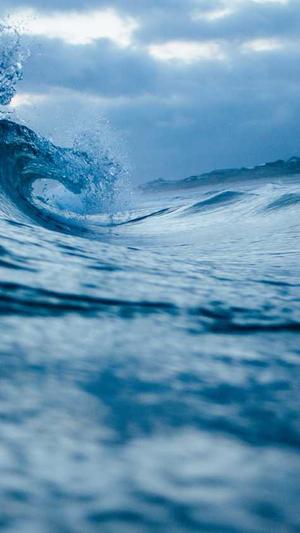 泛目录和站群区别截图3