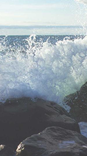 搜索网站seo优化截图2