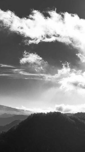 蜘蛛池如何使用魔法棒截图4