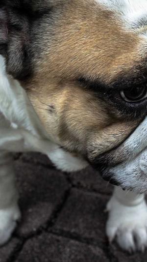 网站seo服务截图4