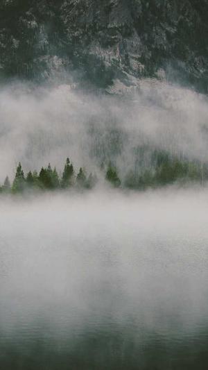 陕西蜘蛛池租用包月截图1