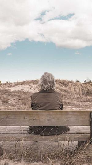 seo站长工具平台排名截图1