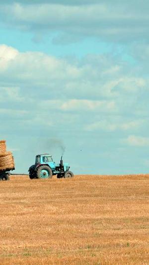 宜昌网站建设截图3