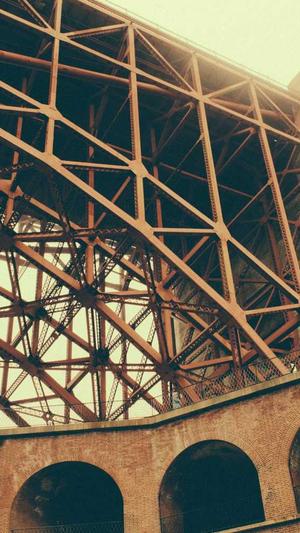 蜘蛛池的应用方法截图1