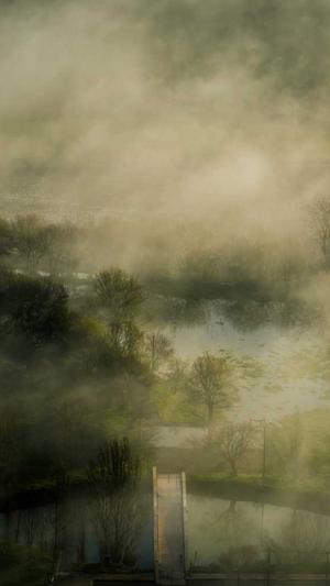 seo专用工具截图2