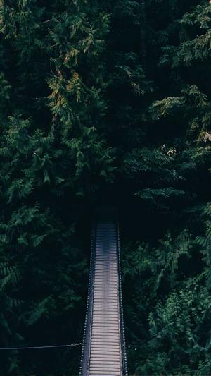 seo爬虫工具截图2