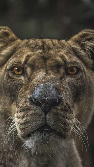 seo免费培训截图3