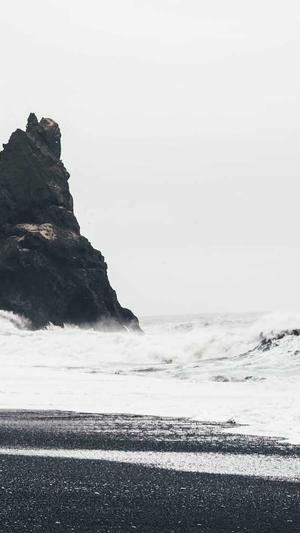 蜘蛛池破解截图3