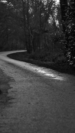 SEO工具源码截图1