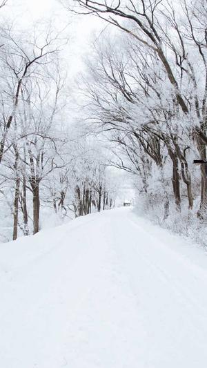 免费网站建设哪个好截图2