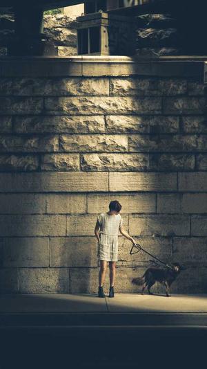 百度蜘蛛池哪家好截图1