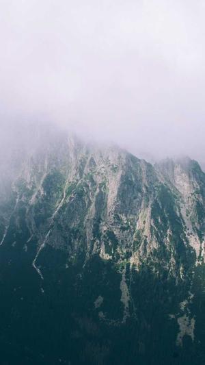 蜘蛛池建造图片截图3