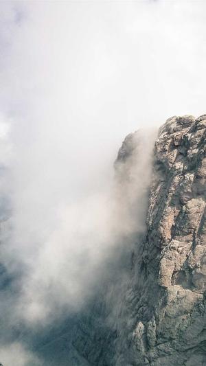 蜘蛛池原理是什么样的截图1