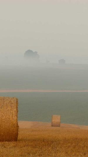 信阳网站建设截图1