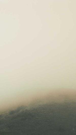 站长工具seo优化截图4