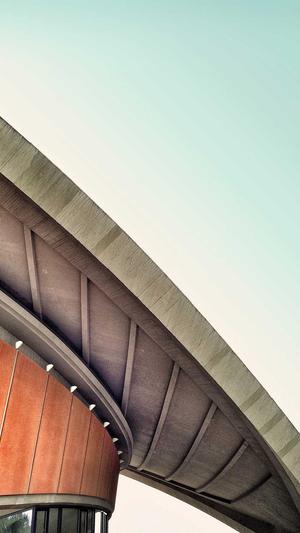 小霸王蜘蛛池截图4