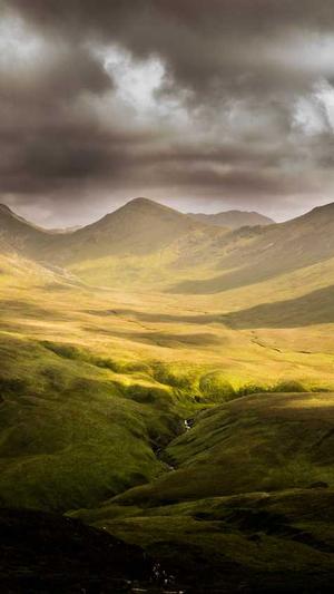 做泛目录排名掉吗截图1