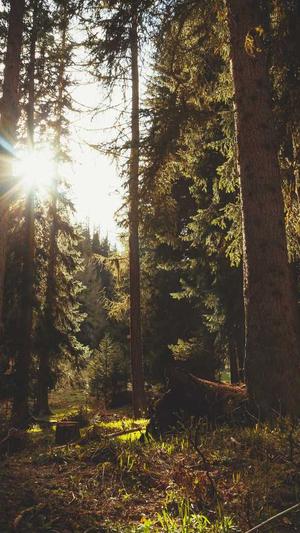 天道蜘蛛池搭建视频截图1