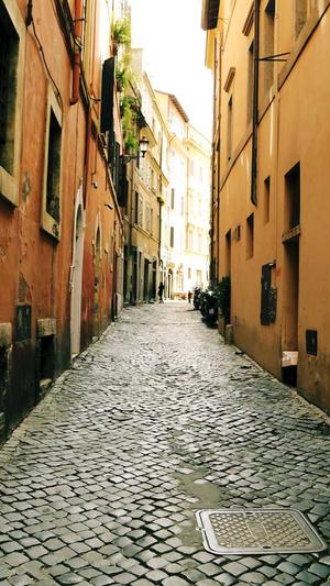 百度seo软件截图1