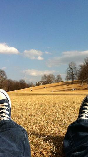 黑帽蜘蛛池做法截图4