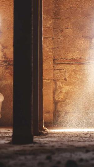 蜘蛛池的含义是什么截图4