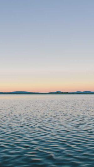 黑帽蜘蛛池做法截图2