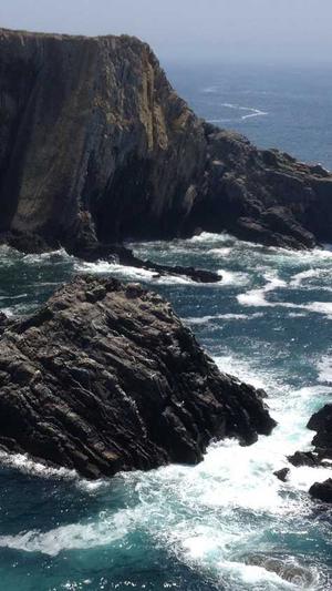 咸阳网站建设截图3