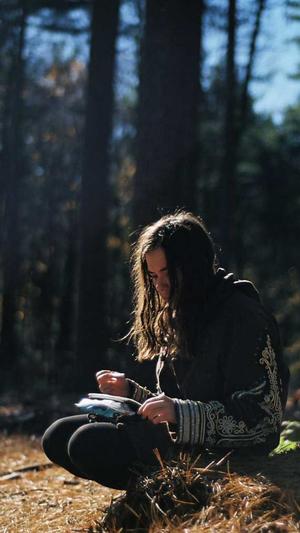 搜外网seo工具大全截图1