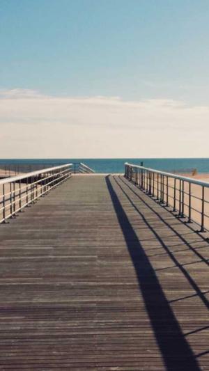 seo优化用哪些工具截图2