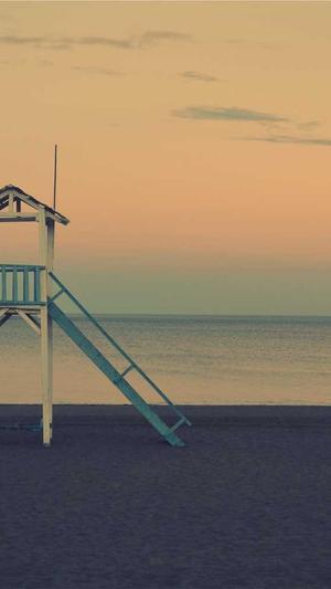 平台seo工具排名截图2