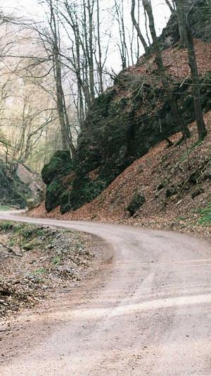 seo优化 工具截图1