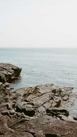 克隆侠搭建蜘蛛池截图5