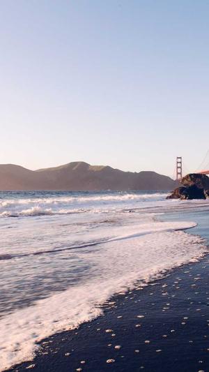 搭建蜘蛛池截图3