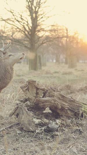 企业网站建设截图3