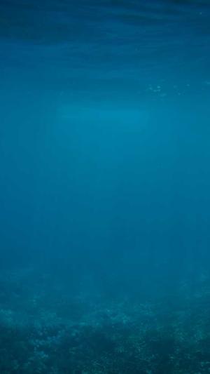 福建省住房和城乡建设厅网站截图3