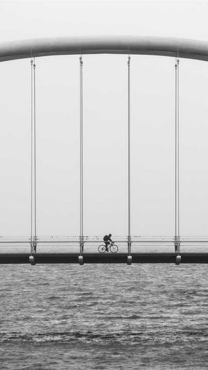 seo快速工具找超快排截图2