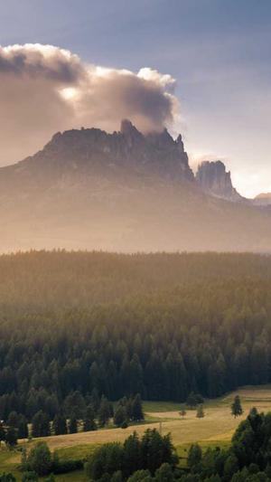 千站云蜘蛛池源码截图4